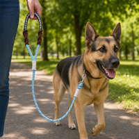 Laisse pour chien en paracorde bleu clair et marron, corde tressée faite à la main avec nœud macramé et mousqueton argenté pour chiens de petite, moyenne et grande taille