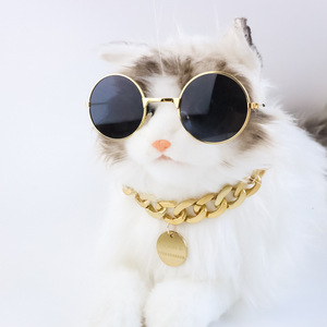 <span class=keywords><strong>Collier</strong></span> en résine dorée colorée <span class=keywords><strong>pour</strong></span> chats et chiens - Tailles grande/moyenne/petite - Product Image 5