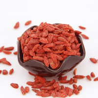 Bulk Premium Grade B Zoete Gedroogde Gojibessen 580 stuks/50g voor Theebedrijven