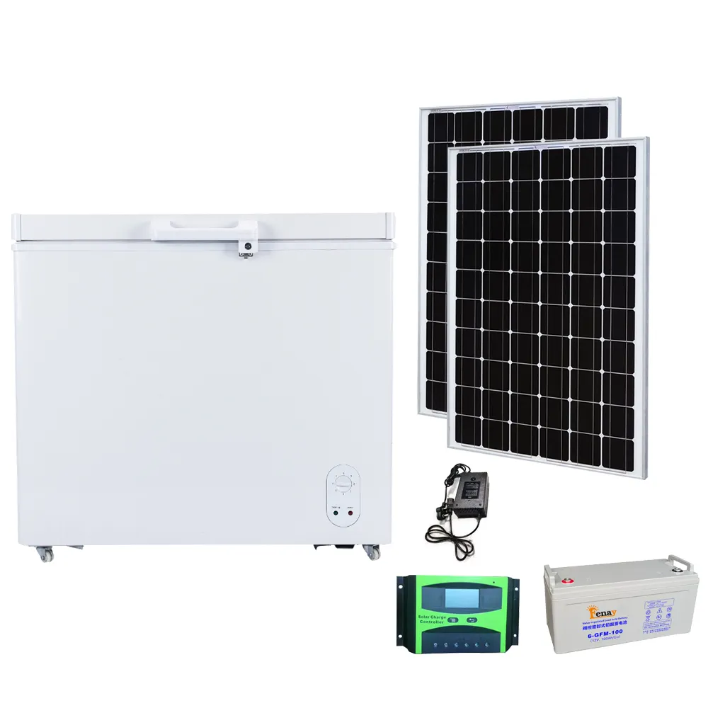 Refrigerador solar vertical para uso doméstico, refrigerador com porta dupla de 218 litros, refrigerador solar de 45L, maior do que o normal