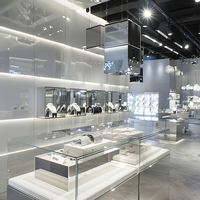 Vitrine à bijoux en acier inoxydable GZowin avec verre haute transparence et éclairage LED - Dimensions durables et personnalisables pour la vente au détail de marques