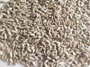 Semi di girasole Mongolia semi di semi di girasole semi di girasole - Product Image 5