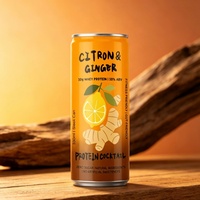 Cocktail protéiné au citron et au gingembre, 10% ABV, 10g de protéines de lactosérum, boisson en conserve sans sucre, prête à boire, boisson alcoolisée 330ml