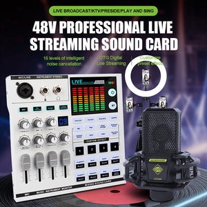 Carte son mixeur audio RGB avec alimentation fantôme 48V et effets sonores multiples pour <span class=keywords><strong>studio</strong></span> à domicile, interface d'enregistrement, podcast et diffusion en direct - Product Image 2
