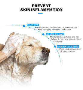 OEM Özel Etiket Doğal Yulaf Ezmesi <span class=keywords><strong>Aloe</strong></span> Köpek Yavrusu Evcil Hayvan Şampuanı ve Saç Kremi Bakım Cilt Tedavisi Organik Köpek ve Kedi Şampuanı - Product Image 3