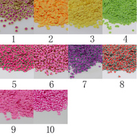 500g Zachte Polymeerklei Fruitplakjes 5mm Klei Citroen Kiwi Druif Aardbei Fruitplakjes Sprinkles voor Slime DIY Nagels Benodigdheden