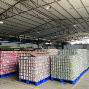 Bebidas orgânicas famosas de 2021, sabor diversificado com água brilhante