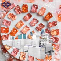 Machine de fabrication de bonbons gélifiés vitaminés pour l'industrie confiserieuse, ligne de production multifonctionnelle de bonbons gélifiés en forme d'ours en gélatine