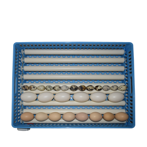 Nouveau modèle 2026 <span class=keywords><strong>Prix</strong></span> usine Incubateur <span class=keywords><strong>d</strong></span>'œufs automatique pour 180 œufs (poulet, autruche, <span class=keywords><strong>oie</strong></span>, dinde) avec retournement automatique <span class=keywords><strong>des</strong></span> œufs, taux <span class=keywords><strong>d</strong></span>'éclosion de 98%, double alimentation, en plastique - Product Image 3