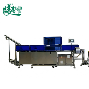 เครื่องเข้ารหัสเลเซอร์แบบเปิดง่ายอัตโนมัติ: การทำเครื่องหมายด้วยระบบวิชั่น, การพิมพ์ข้อมูลแปรผัน, การปฏิเสธสินค้าที่มีข้อบกพร่อง, การเรียงซ้อน - Product Image 4