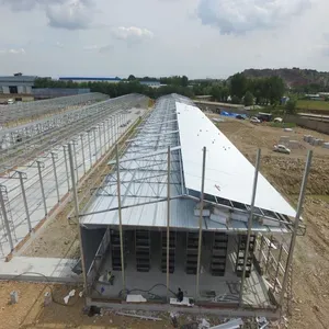 Padiglione Moderno a Grande Campata in Struttura d'Acciaio per Esposizioni Agricole e Astucci, per Allevamenti di Bestiame, Colture, Pollai e Fattorie - Product Image 3