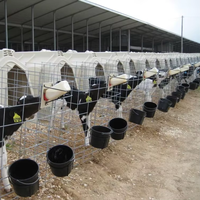 Nichoir/abri pour veaux de haute qualité en plastique PE et acier inoxydable pour élevages de moutons/vaches, fermes avicoles, vente industrielle