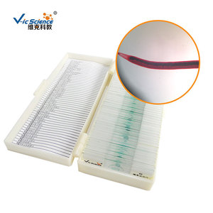 Schistosoma female <b>worm</b> slide, animal biology, plant and animal slides, microscopic slides for primary and secondary schools. - Product Image 1
