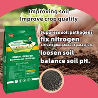Engrais granulaire à libération lente au silicate, fournisseurs d'engrais verts pour la revitalisation des sols après la récolte