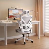Nouveau design Anji Silla De Oficina Sillas Ergonmica Para Oficina Chaise de bureau ergonomique en maille