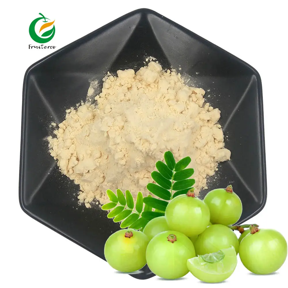 Fruiterco 100% Natural Amla Extract Powder Organic Amla Fruit Powder