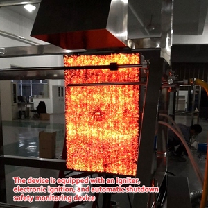 Kiểm soát kỹ thuật số để đánh giá an toàn cháy nổ vật liệu xây dựng chính xác với Máy kiểm tra lan truyền ngọn lửa tiên tiến - Product Image 5