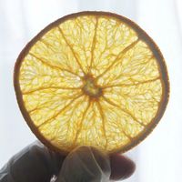 Pure gedroogde sinaasappelschijfjes, op lage temperatuur gedroogd, zonder suiker, voor fruitthee, potpourri, voedingsmiddelenfabriek levering