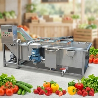 Automatische transportband luchtbellen bladgroente reinigingsapparatuur / Efficiënte fruitwasmachine bubbelwasmachine