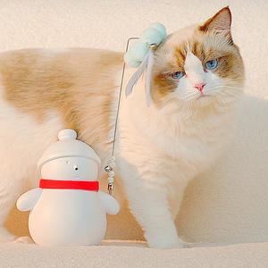 ของเล่นหุ่นหิมะโรลี่โพลีแบบชาร์จไฟได้พร้อมเลเซอร์สำหรับแมว ของเล่นสัตว์เลี้ยงแบบอินเทอร์แอคทีฟ 390 กรัม ไม่ต้องถอดประกอบ - Product Image 3