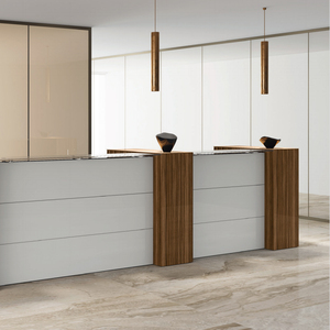 Современный дизайн, L-образный прекрасный салон, передний стол, стол, стойка регистрации