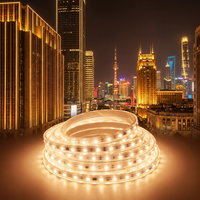 Bande lumineuse LED flexible haute tension AC230V 60 LED/m 10W/m 50M Blanc chaud ou froid 3000K 2700K Décorative pour éclairage extérieur