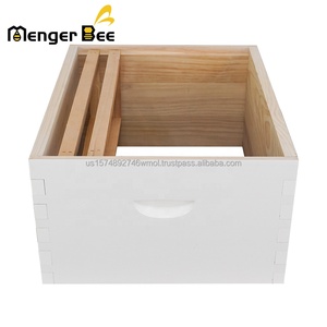 Matériel d'apiculture : Boîte à ruche en bois colorée pour le transport des ruches - Product Image 4