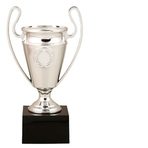 Plastic Champions <b>Trophy</b> Customizable Size <b>Engraving</b> Durable Sports Award - Product Image 1
