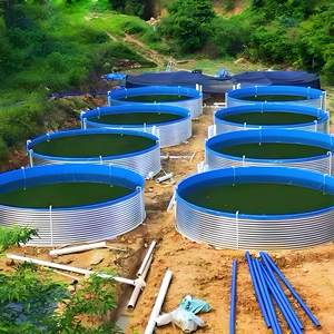 Attrezzatura per Acquacoltura: Vasche per Pesci in Tela di Ferro Zincato Ecologico da 4m di Diametro, Alta Resistenza, Senza Perdite, per Esterni (Nile) - Product Image 5