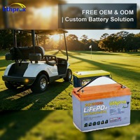 Batterie LiFePO4 à décharge profonde 24V 300AH Grade A pour toute la maison, voiturette de golf, CAN Bus BMS, borne M8, 6000+ cycles, CE RoHS IP67 OEM ODM
