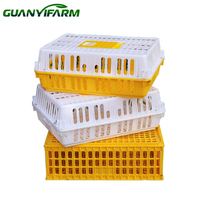 Caisse de transport pour volailles en plastique durable, empilable, avec porte coulissante pour poussins, poules, canards et bétail