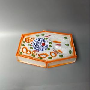 Modelo de Célula Vegetal Ampliada, Material Didáctico Biológico 3D para Botánica y Educación en Ciencias de la Vida - Product Image 2