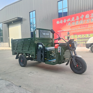 Tricycle utilitaire robuste et économique pour charges lourdes, doté d'une technologie brevetée de pointe - Product Image 2