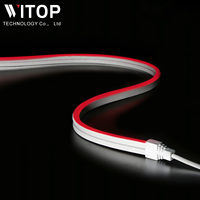 Ensemble de bandes néon 0613 rvb couleur fabricant IP67 étanche dynamique changement de couleur LED bande lumineuse