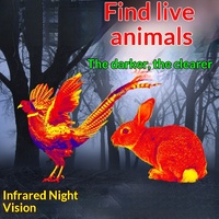 Appareil de vision nocturne infrarouge HD Reimai NBDXJJ24 pour l'observation des oiseaux, caméra thermique, équipement de plein air