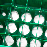 Boîte tournante en plastique écologique, 12 bouteilles, boîte de roulement pour bière, vin, lait, vente en gros, ml