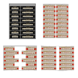 Fabrika üreten diş akrilik reçine dişler yüksek aşınma direnci ile 2 katmanlı yapay reçine diş - Product Image 3