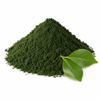 Chlorophylline de cuivre de qualité alimentaire, colorant vert naturel soluble dans l'eau, poudre de 1 kg pour coloration alimentaire