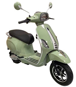 Y4-TSLV3 Vélo à disque pour adultes économique, 60 km/h, système électrique de moto, motos - Product Image 2