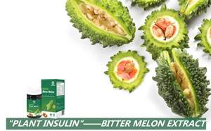 Kapsul Melon pahit Herbal Reishi kapsul Herbal grosir dengan sertifikat GMP - Product Image 4