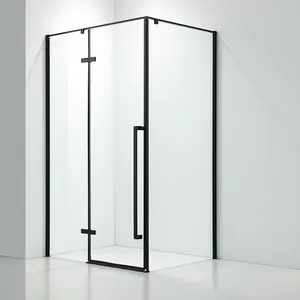 Latest design frameless black hinge pivot shower enclosure shower room with 8mm tempered glass