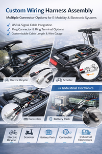 맞춤형 배선 하네스 케이블 어셈블리(다중 커넥터 포함) |   USB / 플러그 / 터미널 OEM - Product Image 6