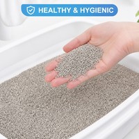 Litière pour chat en bentonite à structure soluble optimisée, agglomération rapide, désodorisation complète, faible teneur en poudre, design à rinçage rapide, fournitures pour animaux de compagnie