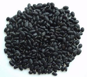 โภชนาการสูง ZHI MA สารสกัดจากงาดําน้ําอสุจิงาไนกรัมผง 5: 1 10: 1 20: 1 - Product Image 5