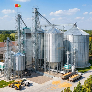 Silo galvanisé pour stockage de céréales en vrac, installation facile, fournisseur direct pour fermes, usage commercial. - Product Image 6