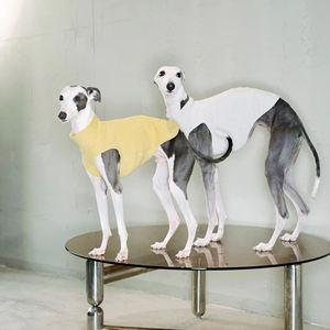 Ropa personalizada para el hogar de mascotas, ropa personalizada para perros y gatos, ropa navideña para perros - Product Image 1