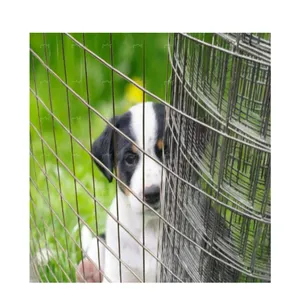 Good quality price preferential rabbit cage fence PVC galvanized welded wire mesh coil