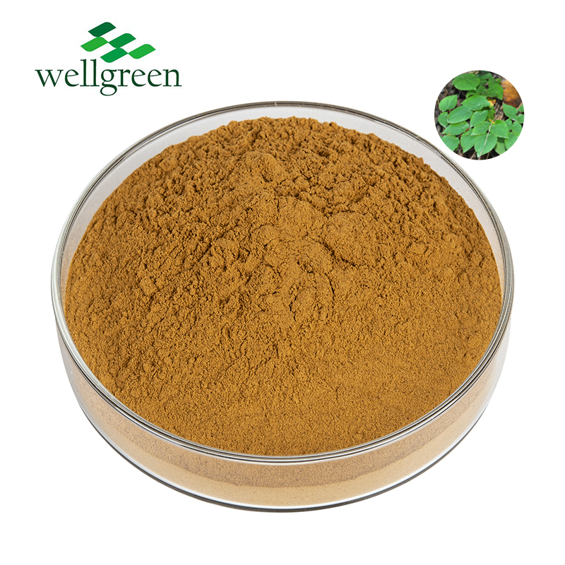 Natural Herbal Plant Bulk Export Astragalus
