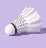 Volant de badminton professionnel en plumes de canard hybrides, classe NO.6, direct usine, sandwich 2 couches, liège, durable pour tournoi