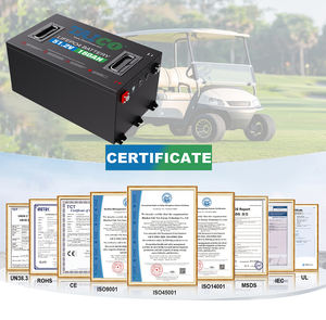 इलेक्ट्रिक मोपेड बाइक और गोल्फ कार्ट 48v 160h लिथियम आयन बैटरी पैक 51.2v 160h विकल्प - Product Image 4